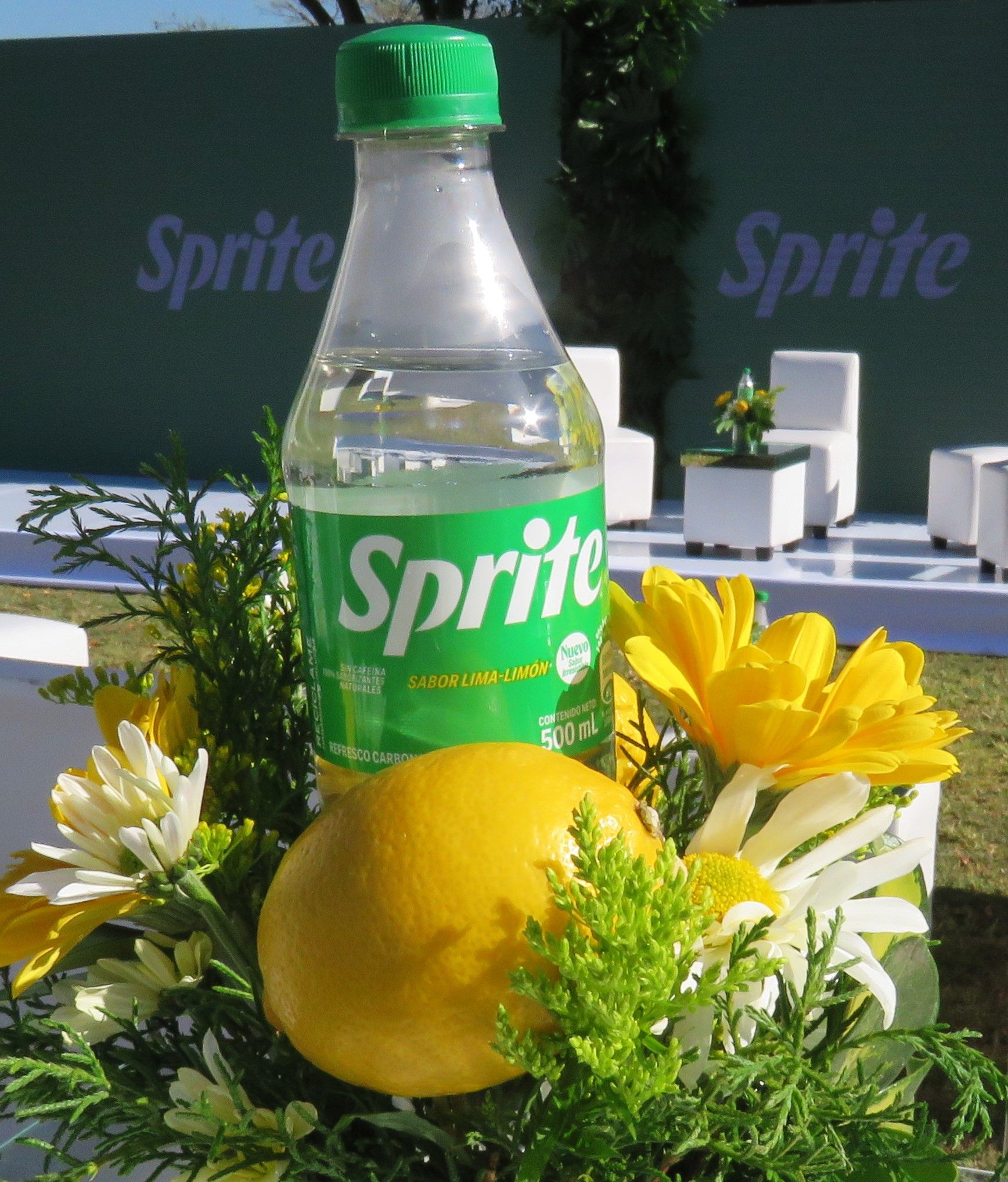 Sprite refresca su identidad visual, su botella cambia de verde a ...