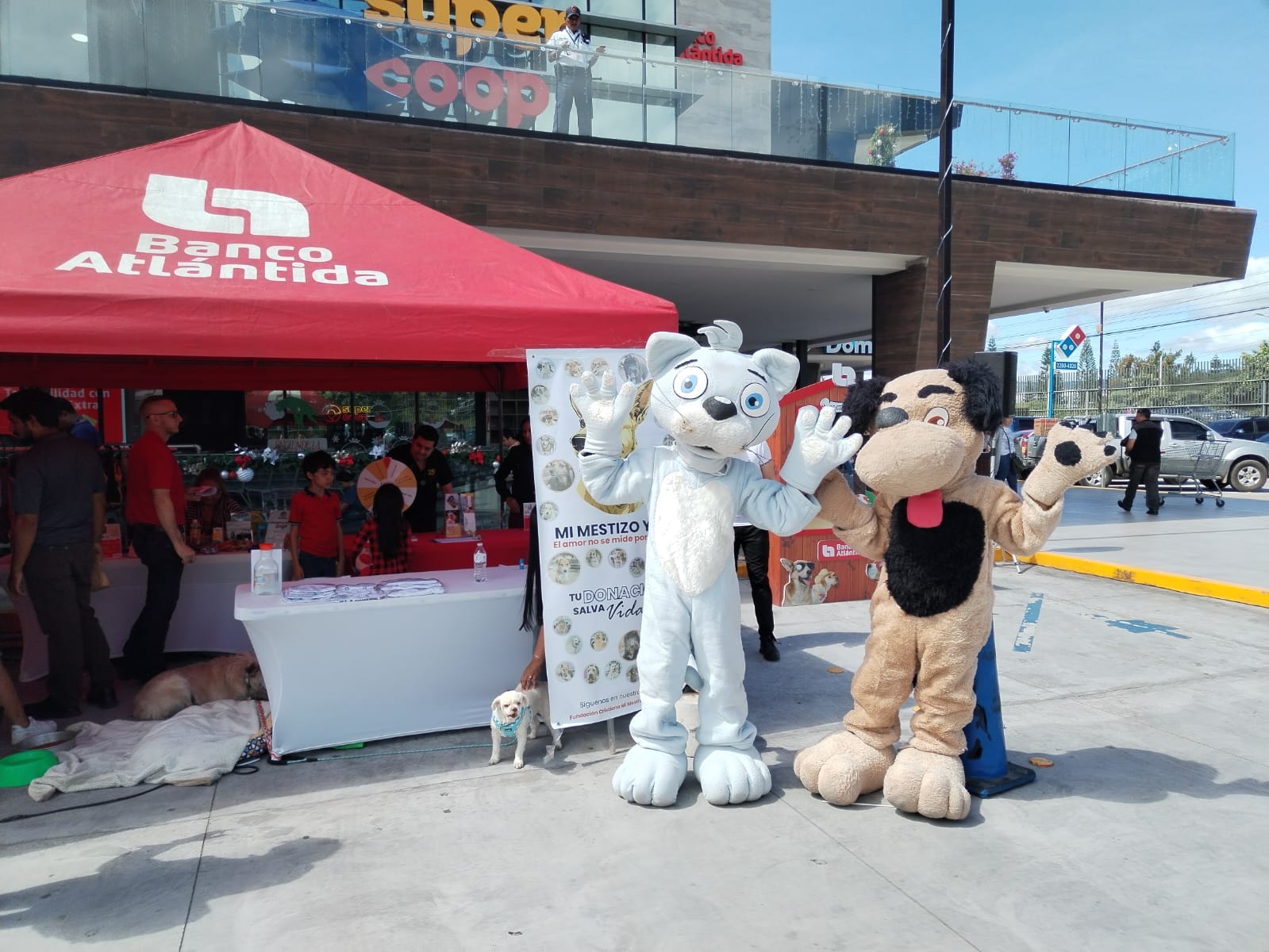 Las mascotas estarán protegidas con el nuevo programa de asistencia que trae Banco Atlántida