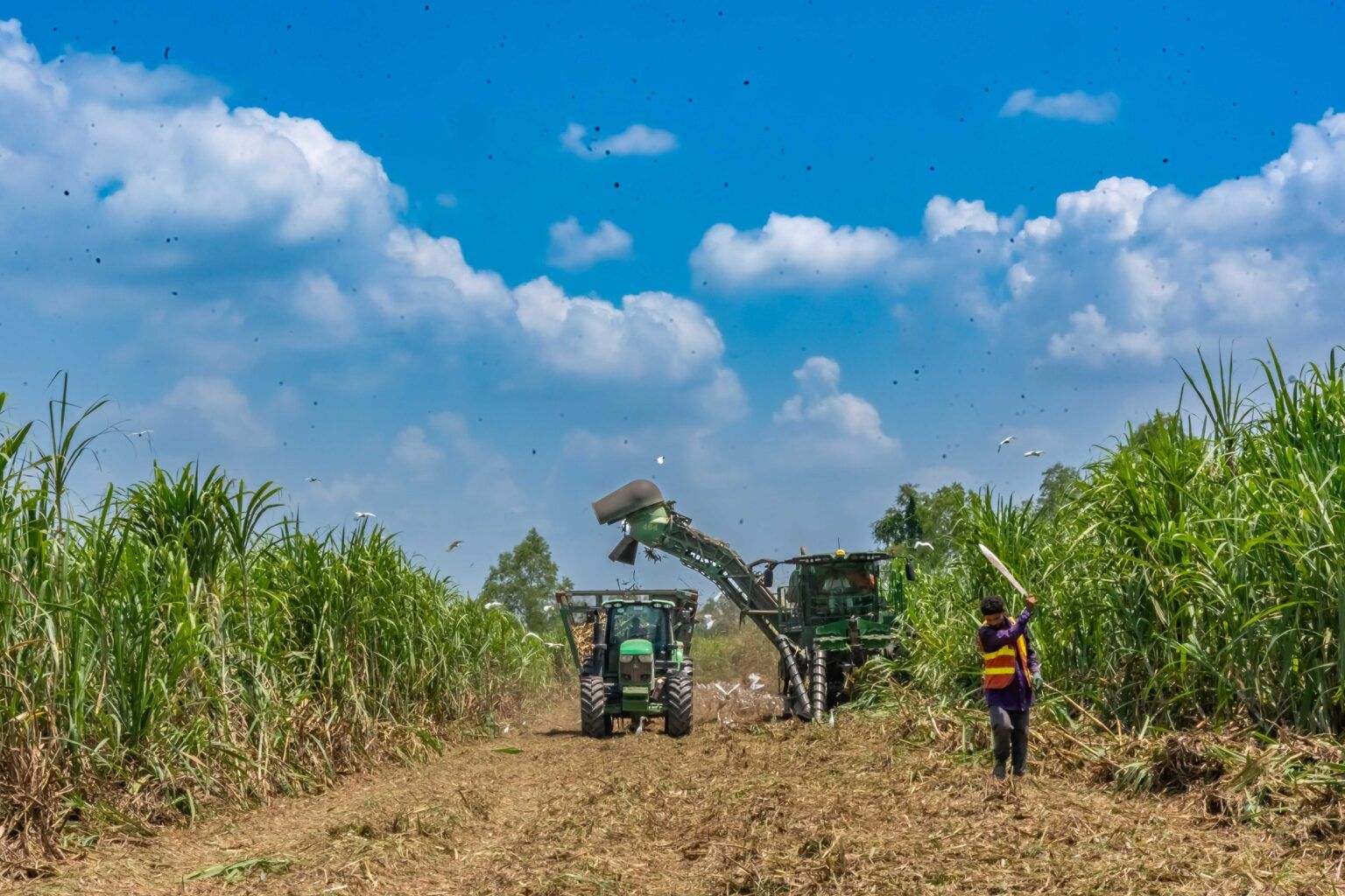 Azunosa cumple 51 años impulsando desarrollo y empleo en el Valle de ...